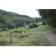 Search_FARMHOUSE TO BE RESTORED FOR SALE IN THE MARCHE REGION, NESTLED IN THE ROLLING HILLS OF THE MARCHE in the municipality of Montefiore dell'Aso in Italy in Le Marche_21